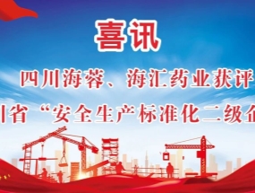 海蓉、海匯藥業(yè)獲評“安全生產(chǎn)標(biāo)準(zhǔn)化二級企業(yè)”